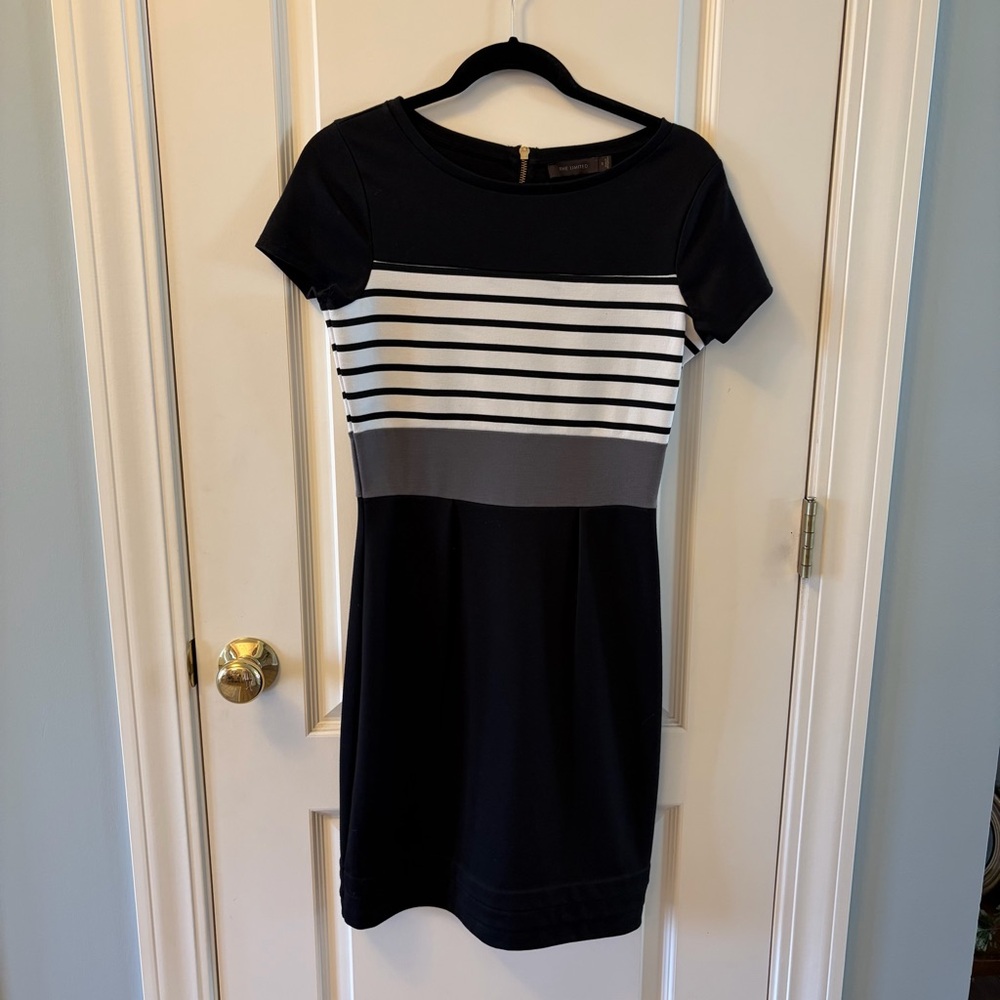 The Limited Black Dress with Gold Zipper